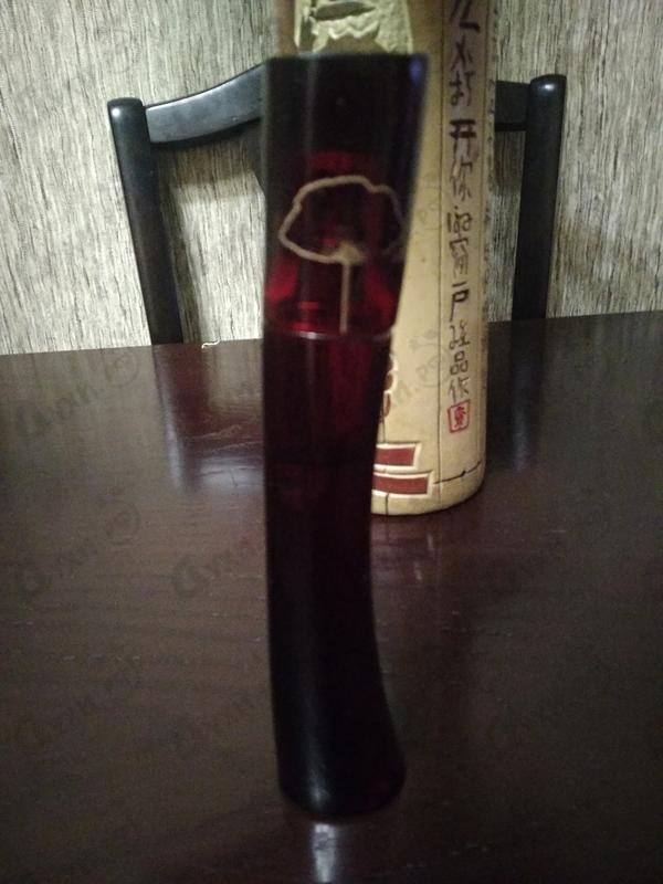 elixir de kenzo